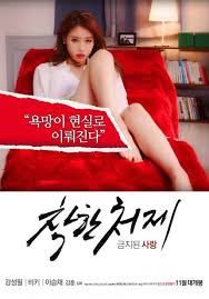 Good Sister in Law Forbidden Love (2015)